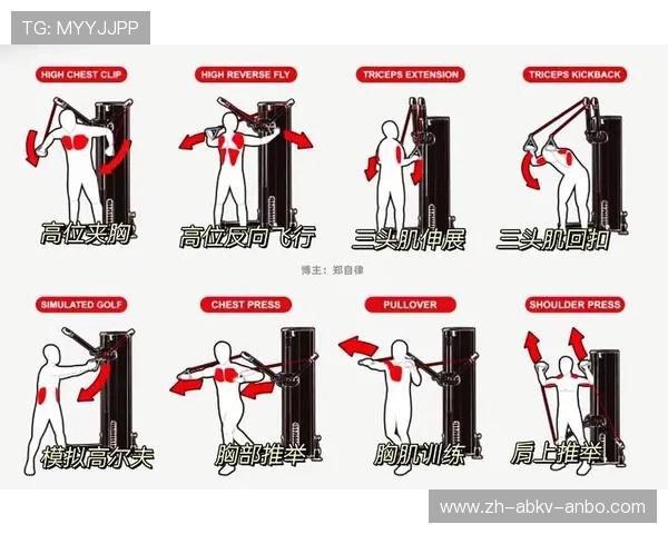居家锻炼手臂肌肉的健身器材推荐及锻炼示范 居家锻炼手臂肌肉的健身器材推荐及锻炼示范