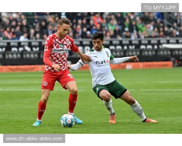 德甲球队主场信息全览 德甲球队主场信息全览