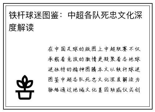 铁杆球迷图鉴：中超各队死忠文化深度解读